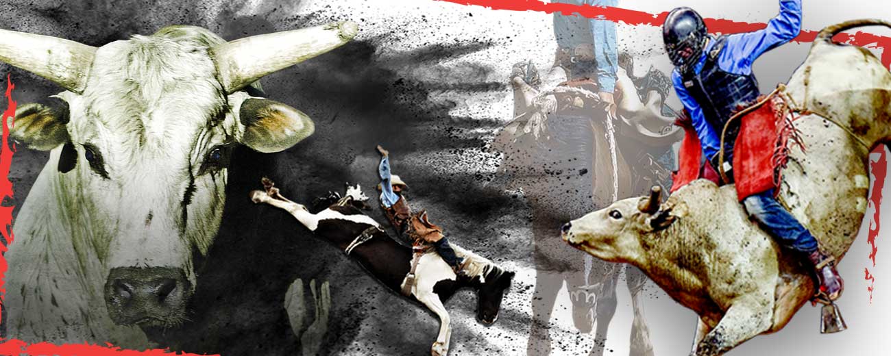 Cinch World's Toughest Rodeo Iowa Events Center