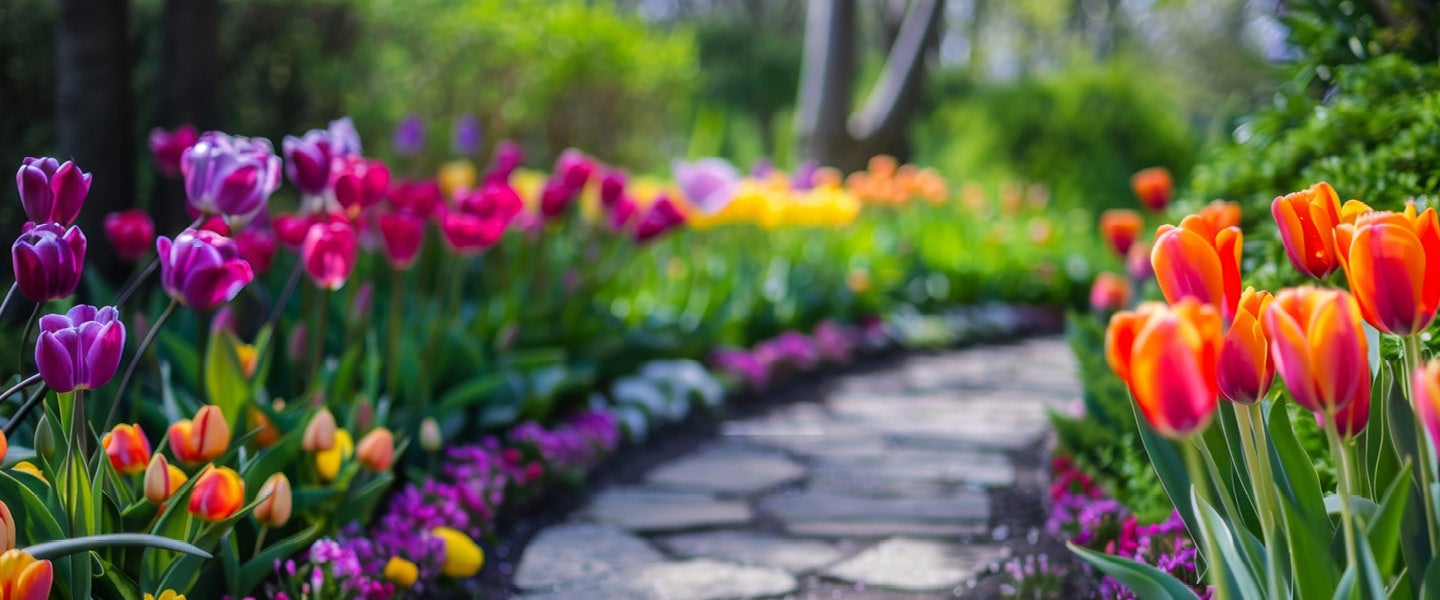 More Info for Des Moines Home + Garden Show