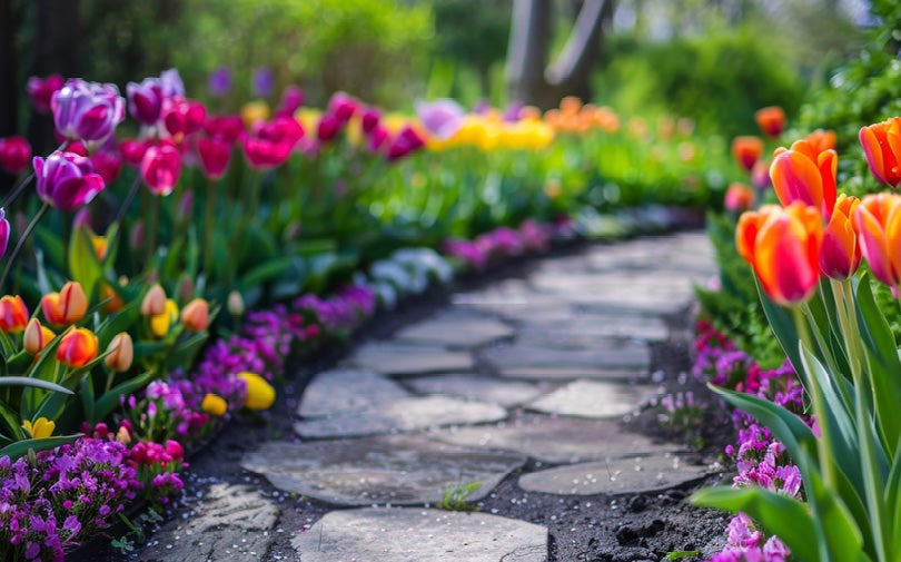 Des Moines Home + Garden Show