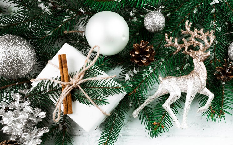 More Info for Des Moines Holiday Boutique